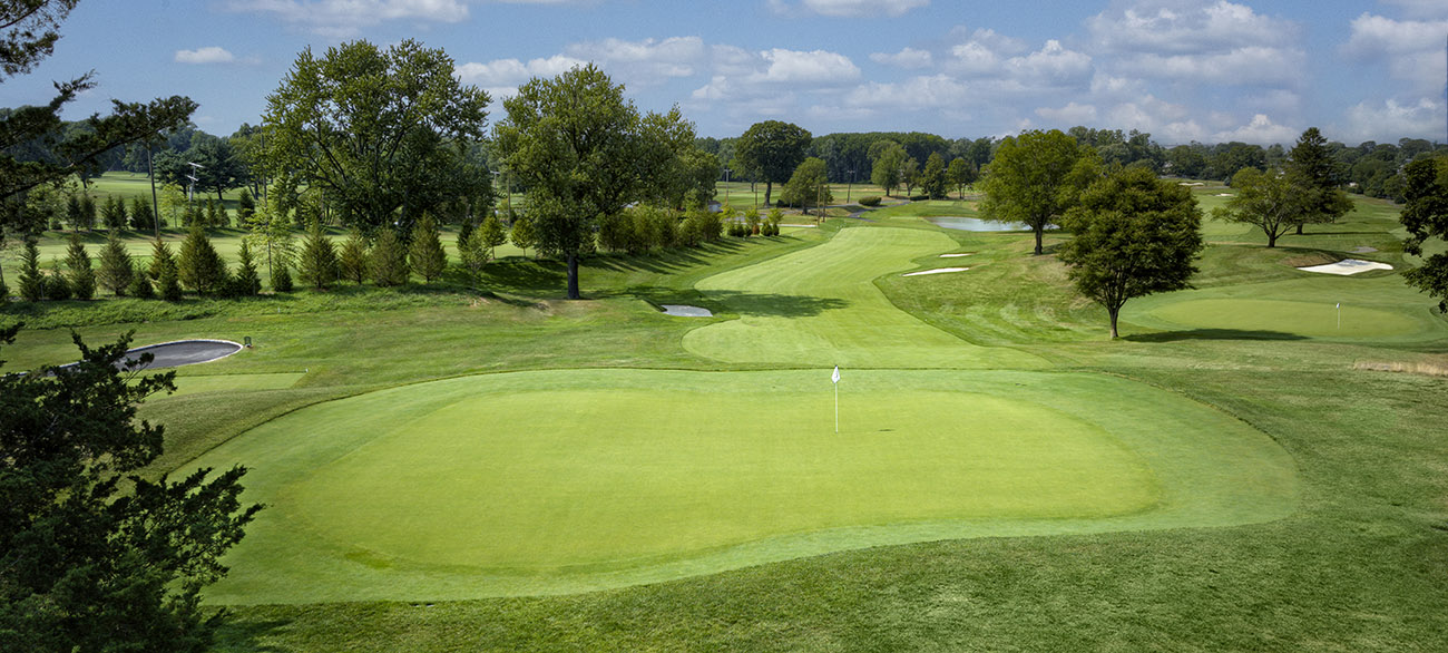 Hole 15 Green