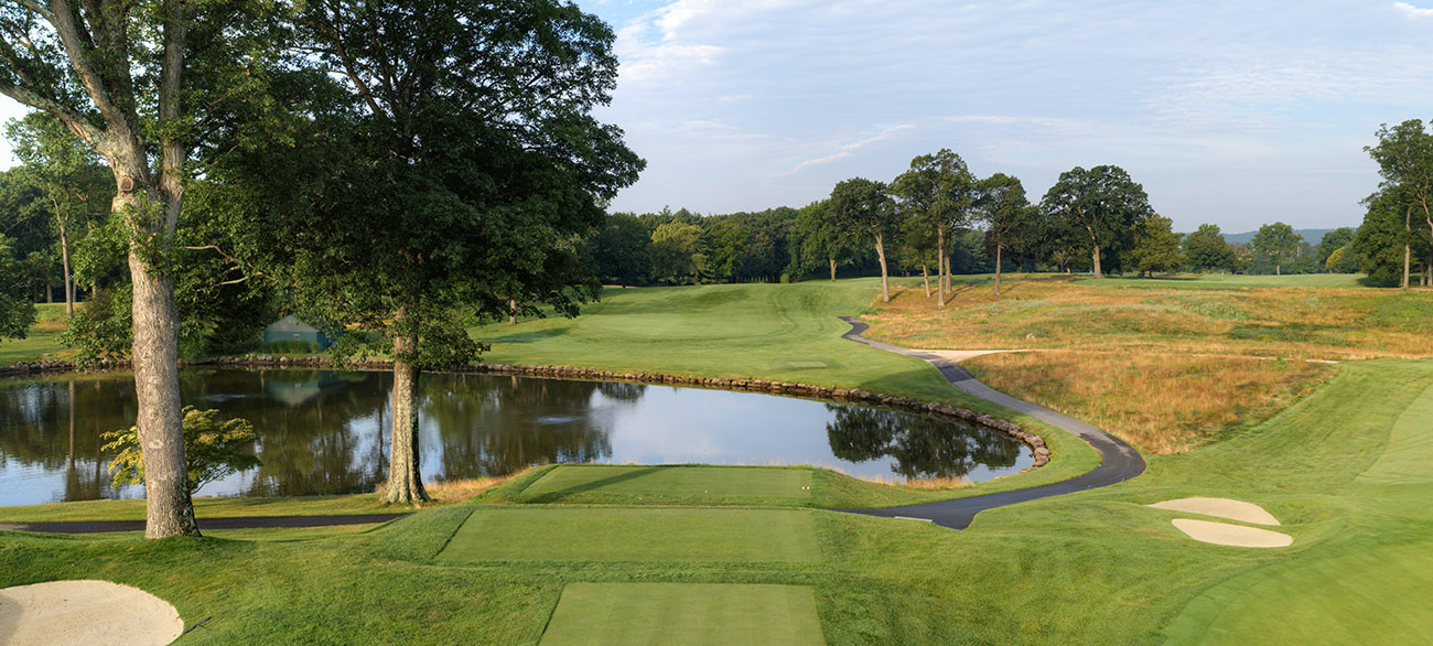 Hole 10 Tee New