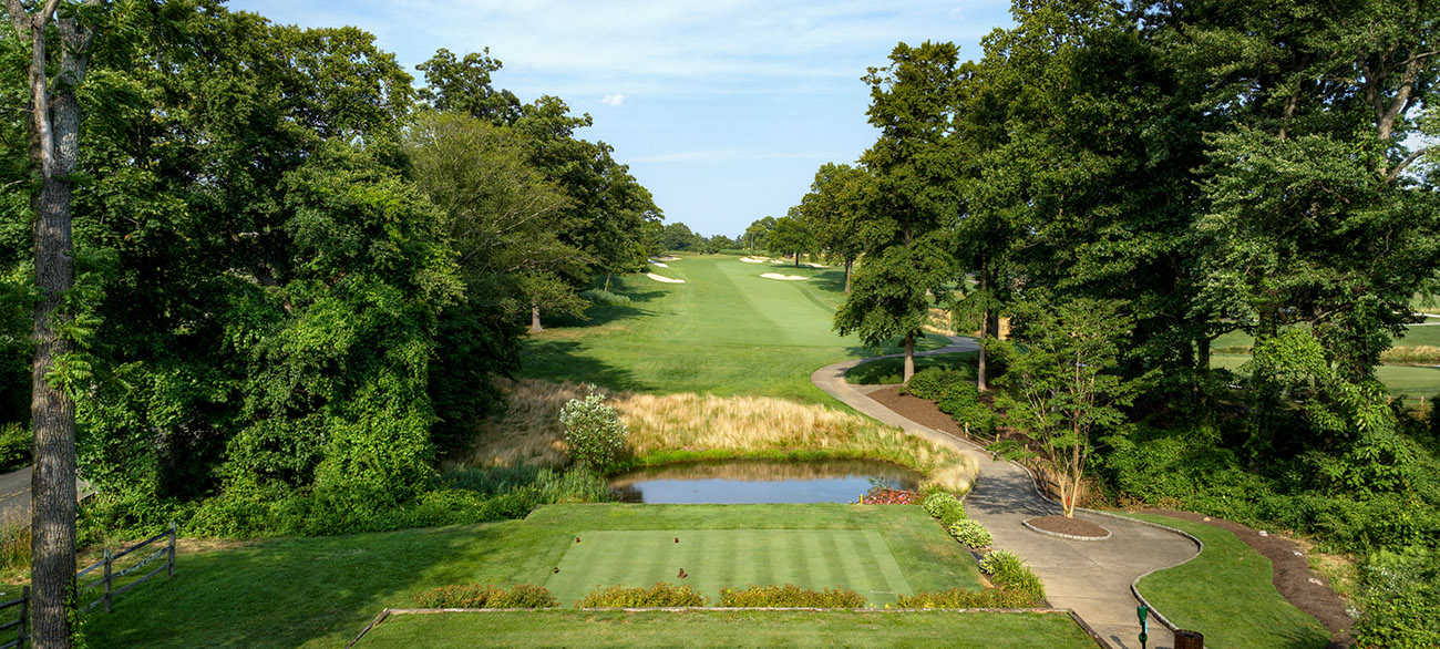 Hole 15 Tee