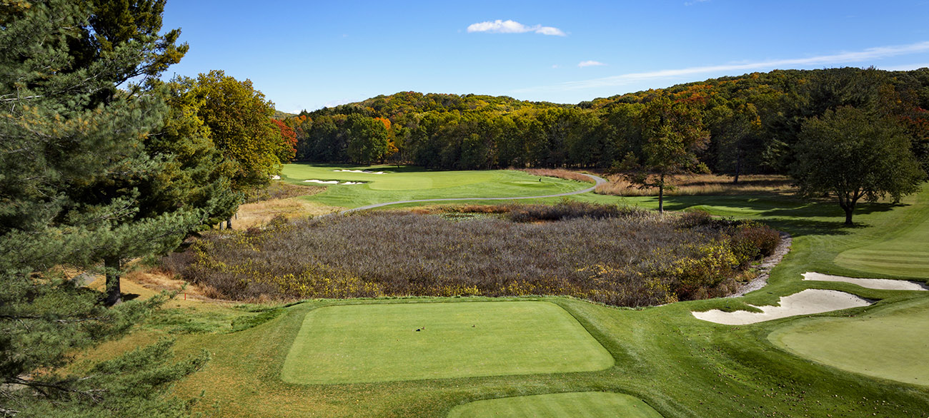 Hole 4 Tee Fall